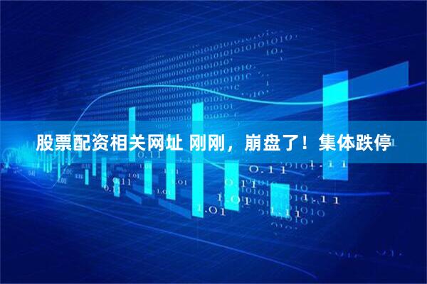 股票配资相关网址 刚刚，崩盘了！集体跌停