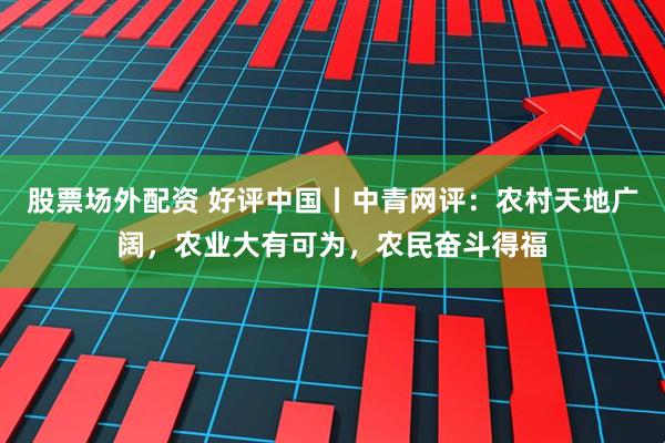 股票场外配资 好评中国丨中青网评：农村天地广阔，农业大有可为，农民奋斗得福