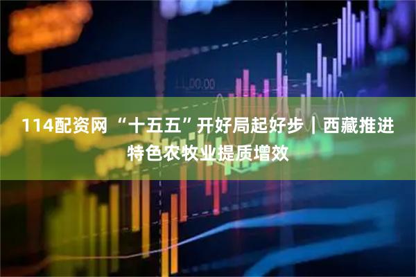 114配资网 “十五五”开好局起好步｜西藏推进特色农牧业提质增效