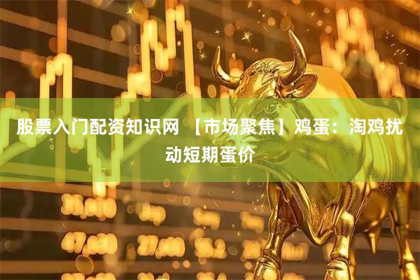 股票入门配资知识网 【市场聚焦】鸡蛋：淘鸡扰动短期蛋价